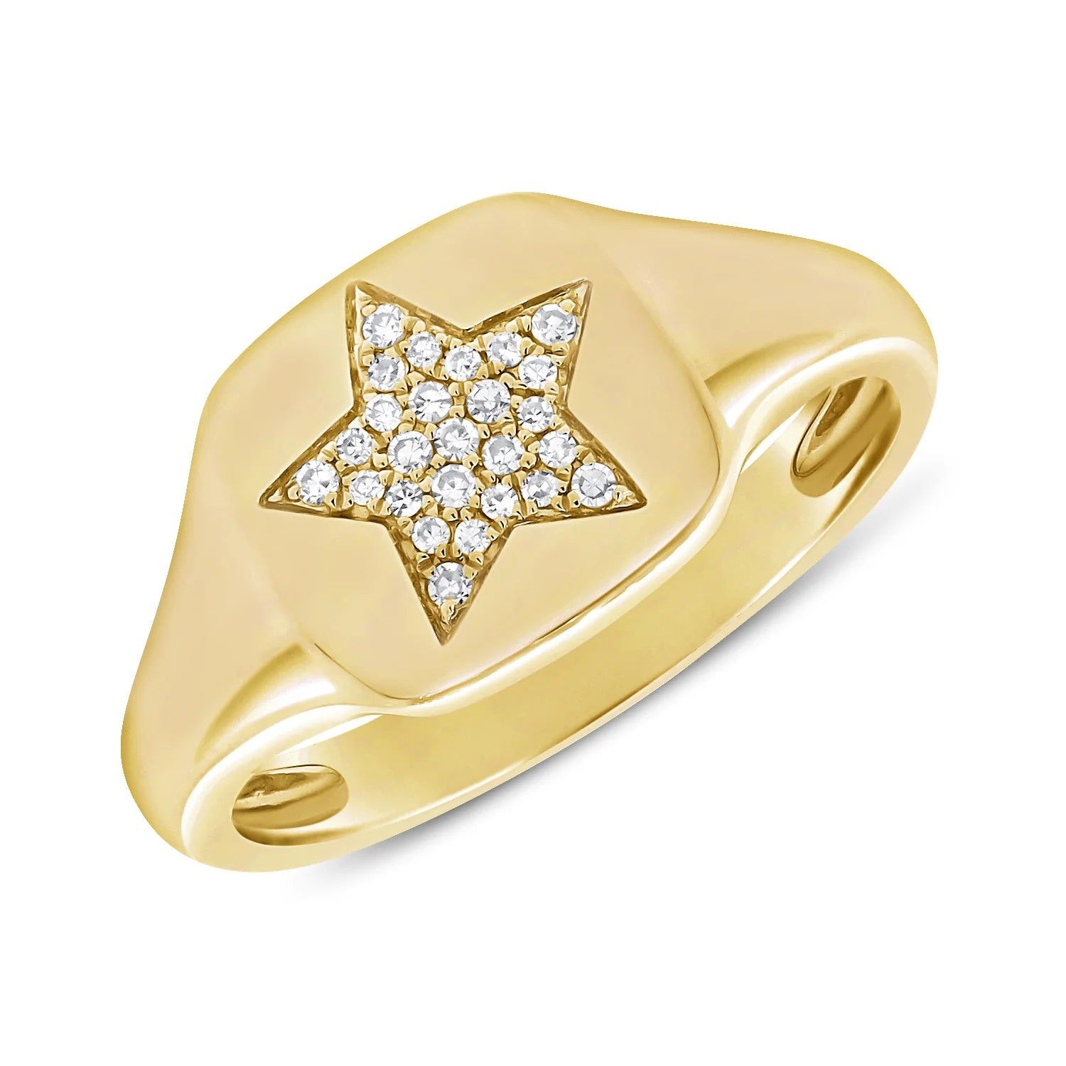14kt Gold 0.06 CTW Diamond Star Signet Ring