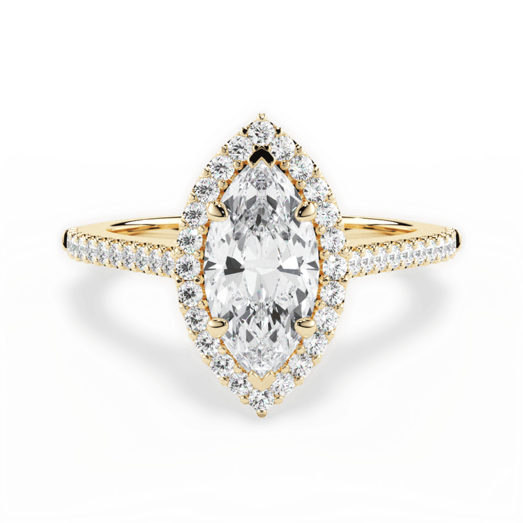 The Melod Halo