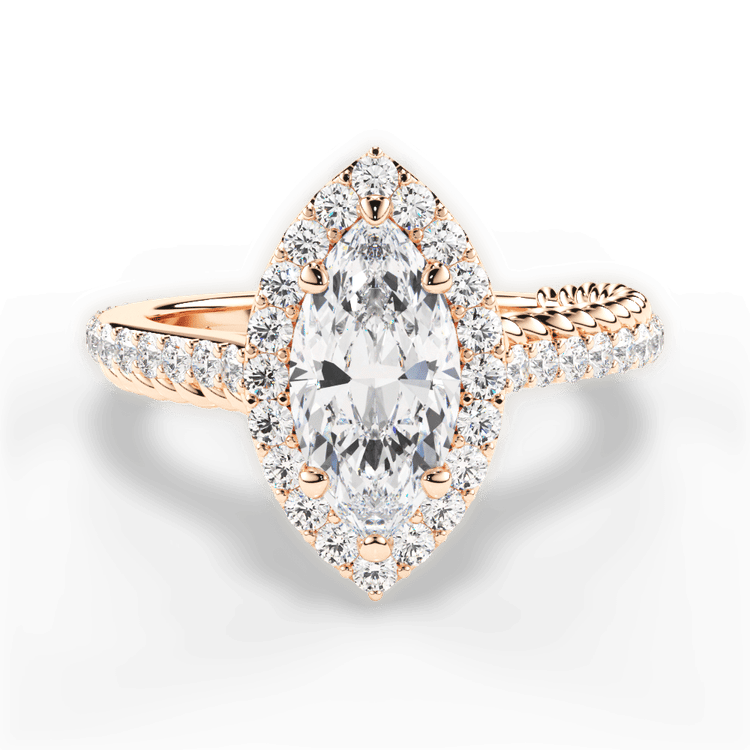 The Xiomara Halo