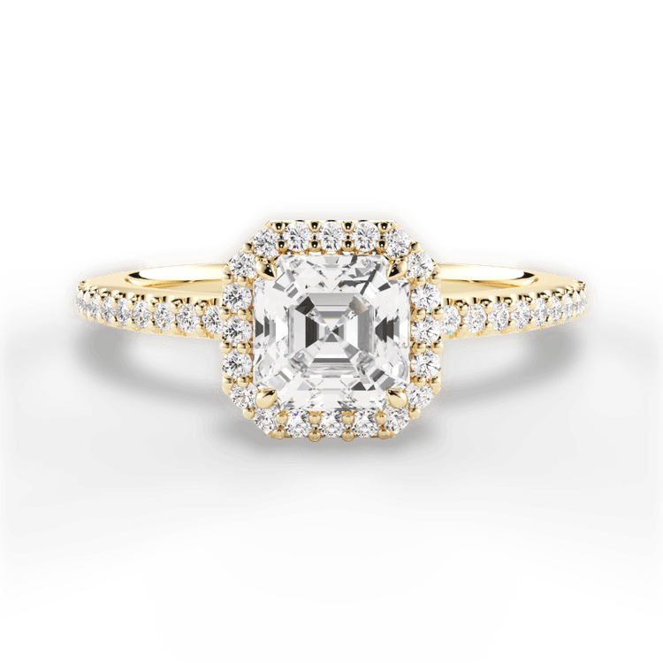 The Onesty Halo
