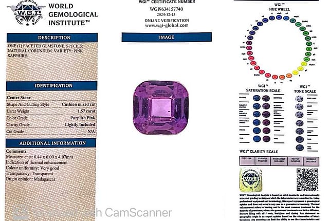 primary zoom in