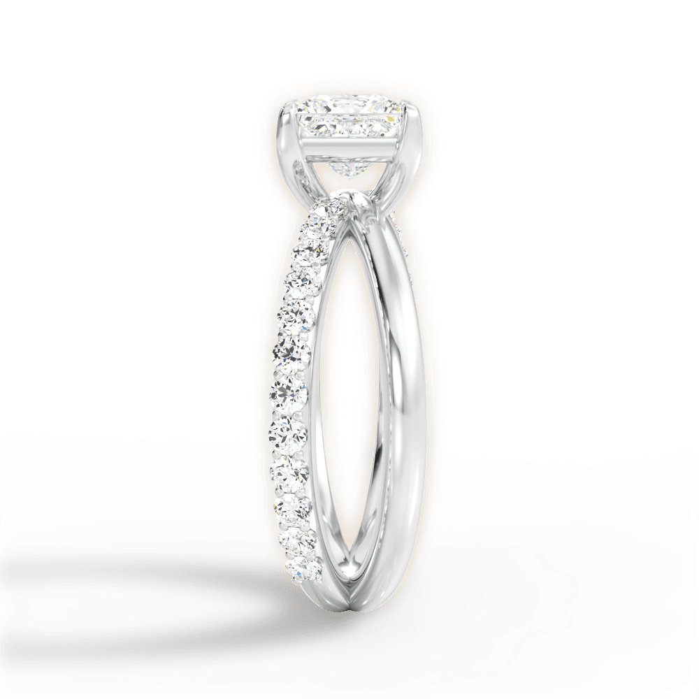 14kt White Gold/18kt White Gold/Platinum/princess/perspective