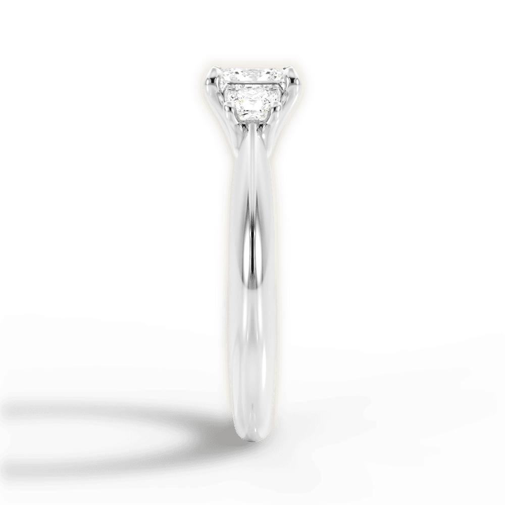 14kt White Gold/18kt White Gold/Platinum/princess/perspective