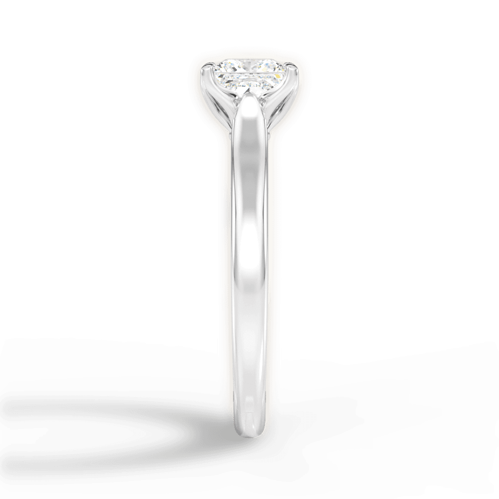 14kt White Gold/18kt White Gold/Platinum/princess/perspective