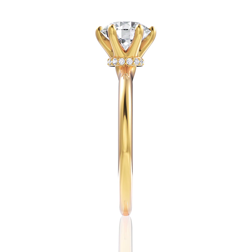 18kt yellow gold/round/perspective