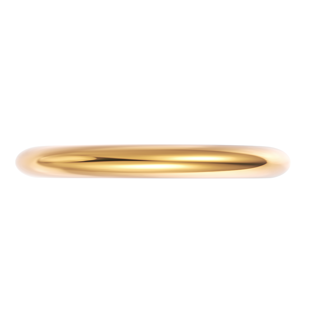 18kt yellow gold/perspective