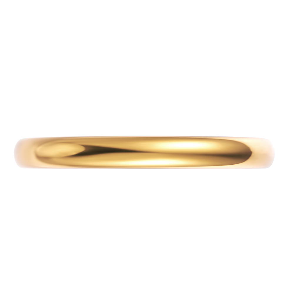 18kt yellow gold/perspective