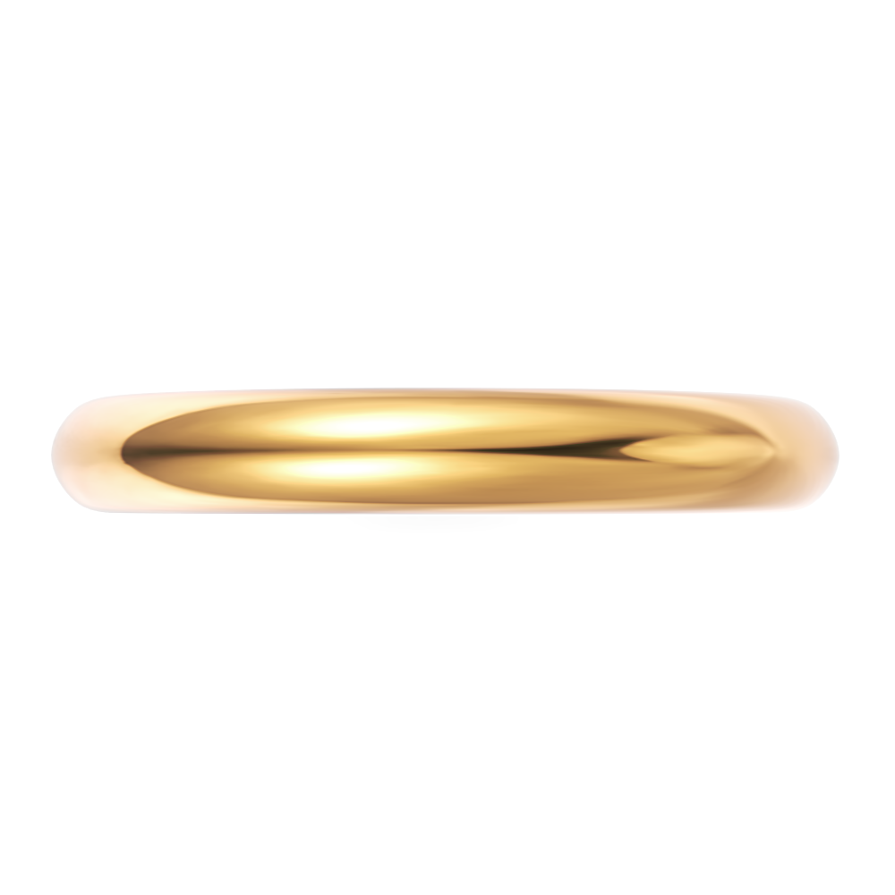 18kt yellow gold/perspective